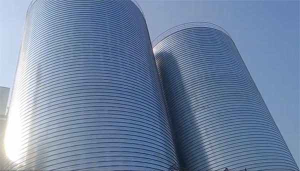 小板镇2座混凝土高架卷板仓